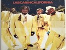The Pharcyde Labcabincalifornia OG 2X LP UK Pressing 1996