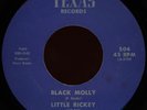 LITTLE RICKEY & THE RHYTHM EXPRESS Black Molly 45 Texas Rare 1973 Houston Funk