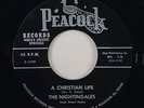 Nightingales 