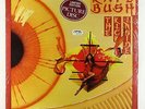Kate Bush - The Kick Inside Picture Disc LP - EMI UK Ltd. SEALED