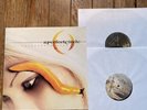A Perfect Circle: Thirteenth Step Vinyl LP Album 33RPM 12 