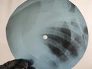 BEATLES COME TOGETHER X-Ray USSR Record Roentgen Bones Ribs Music Vinyl