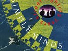 Simple Minds - Street Fighting Years - 180gm Vinyl [New Vinyl LP] 180 Gram, Holl