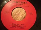 JAMES FOUNTAIN SEVEN DAY LOVER MID 70`S COPY WITHOUT THE MJLS IN THE DEADWAX
