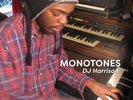 Monotones by DJ Harrison (Record, 2023)