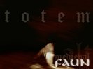 Totem by Faun (Record, 2020)