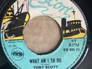 TONY SCOTT What Am I To Do 45 Bring Back That Smile 7