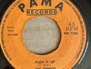 THE TERMITES Push It Up 45 Two Of A Kind LLOYD PARKS 7