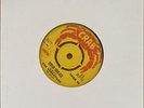 The Versatiles “Spread Your Bed” 7” Vinyl Record