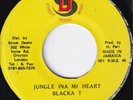 90s Dance Hall Reggae Jungle BLACKA T jungle ina mi heart JA 7