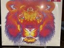 The Black Crowes Lions 180 Gram RSD 2020 SEALED