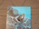 **RARE Shrink/OG** Roxy Music Siren Vinyl LP 1975 1st Press Atlantic/Atco VG+