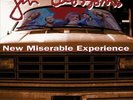 GIN BLOSSOMS NEW MISERABLE EXPERIENCE NEW LP