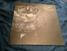 COCTEAU TWINS Treasure LP 1984 4AD CAD 412 Excellent throughout