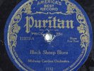 Jazz 78 MIDWAY GARDEN ORCHESTRA Black Sheep Blues PURITAN 11272 HEAR 2509