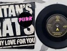 45t VINYL - SATAN'S RATS In My Love For You - DJM DJS 10819 - PUNK