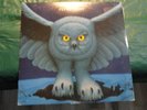 Orig 1975 RUSH LP “Fly By Night” On Mercury Black Label VG++,