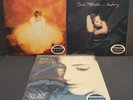 (3 LOT/4 LP's) SARAH MCLACHLAN CLASSIC RECORDS 200gram Limited Edition NEAR MINT