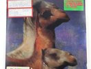 Vinyl LP-The Roches – We Three Kings MCA Records-1990-Christmas-VG+Clean-Promo