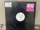 Sufjan Stevens 5 Unreleased Songs 12