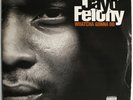 Jayo Felony ‎– Whatcha Gonna Do (2LP USA 1998 Def Jam) DMX, Ice Cube
