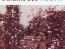 Galaxie 500 - Today Vinyl LP Record
