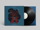 Mammal Hands | Black 2xVinyl LP | Gift From The Trees | Gondwana