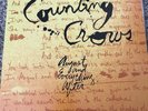 Counting Crows August and Everything After 45 RPM Analogue Productions 2LP Vinyl