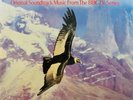 The Flight of the Condor - BBC Records - 1982 - Vinyl LP - SEALED