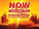 Various Artists - NOW That¿s What I Call Country [VINYL]