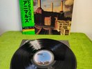 Pink Floyd – Animals  /NM/ OBI, Japan LP, Vinyl