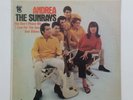THE SUNRAYS Andrea T5017 Mono LP Vinyl VG++ Cover VG+ Hole Punch Surf Rock