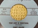 Sandy Golden YOUR LOVE IS EVERYTHING for northern soul tamla casino wheel fan