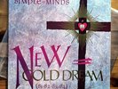 SIMPLE MINDS / NEW GOLD DREAM (81-82-83-84) / 1982 SP-6-4828 / COLORED VINYL LP