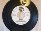 45 RPM BRENDA HOLLOWAY/ECHO/HEY FOOL               DONNA                   VG++