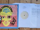 The chameleons John Peel Sessions LP White Label test press promo Post punk