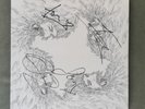 Signed Kasabian Limited Edition 10