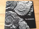 THE SUNDAYS - READING WRITING AND ARITHMETIC (ROUGH TRADE) LP INDIE