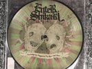 7” Single Pic Disc Enter Shikari - Anything Can Happen In The Next Half Hour