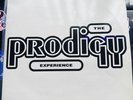 The Prodigy Experience 2 X LP Orig Pressing Rare Classic Breakbeat Hardcore Rave