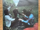 The Soft Boys (Invisible Hits) - Vinyl Record