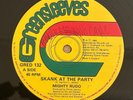 MIGHTY RUDO - Skank at the Party / RARE ROOTS REGGAE DUB MAXI GREENSLEEVES 132
