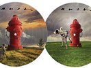 Signals (40th Anniversary) by Rush (Record, 2023) NEW (LP)