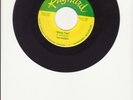 The Invaders- Mickey Finn- Rare 1960's Surf/Garage Rock Instrumental 45