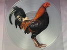 KING KURT - BIG COCK 1986 Stiff Records clear picture disc LP - Near Mint