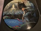 In Flames - A Sense of Purpose Very Rare Picture Disc Vinyl 2008 Heavy Metal