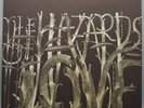 The Decemberists ‎– The Hazards Of Love (2009) 2 × Vinyl LP Album - Near Mint