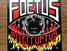 Foetus Interruptus (Thaw) - Vinyl Record