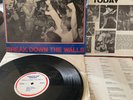 YOUTH OF TODAY Break Down The Walls -1986 PRESSING/VG+ VINYL w/All Inserts