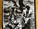 The White Stripes - Icky Thump [2021 Vinyl Reissue] - Like New
